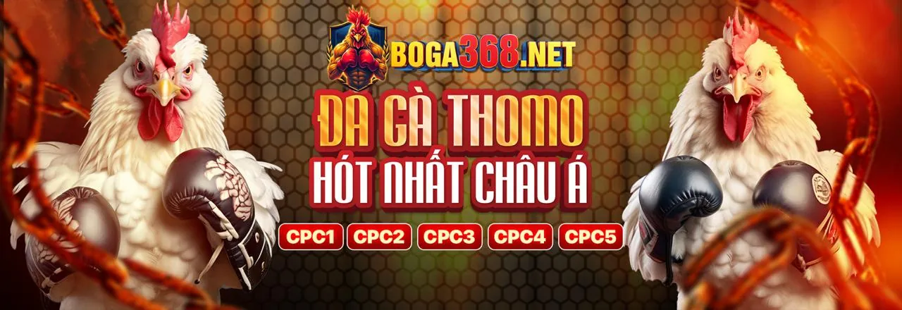 Đá Gà Trực Tuyến macao99. pro
